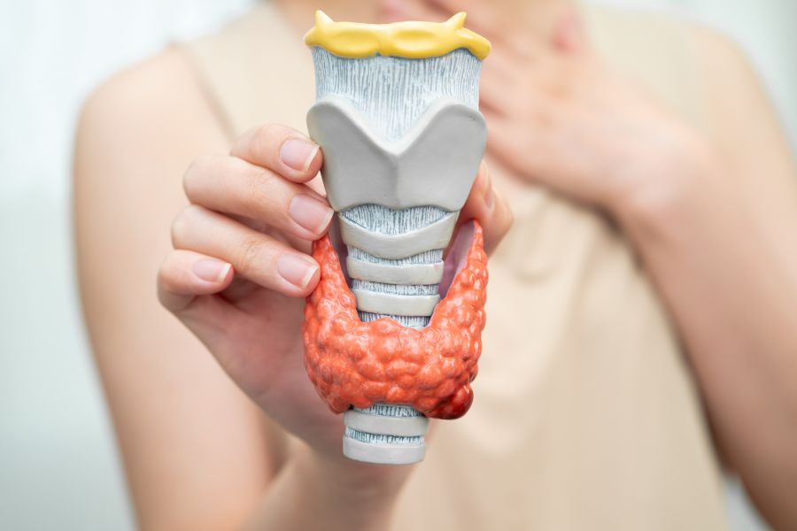 Saúde da tireoide: sintomas que você não deve ignorar